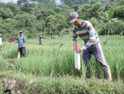 GEMAPATAS Akan Dicanangkan Serentak di 23 Kabupaten/Kota