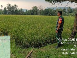 Pendataan Lahan Perranian, Kodim 0602/Serang Kerahkan Babinsa 