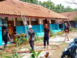 Sarang Kelelawar di SMPN 2 Pamarayan Berhasil Dievakuasi Tim Damkar