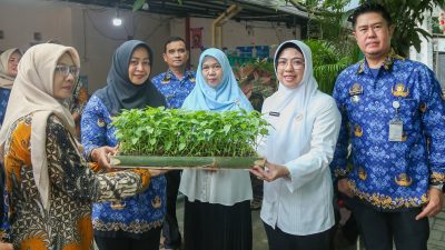 Tinawati Andra Soni Apresiasi Posyandu Terapkan 6 Standar SPM di Desa Ciagel