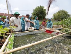 Ketua TP PKK Banten Tinawati Andra Soni : “HKG Momentum Perkuat Kiprah dalam Melayani Masyarakat”