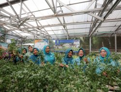 Tinawati Andra Soni Harap Lomba HKG PKK Jadi Ajang Kader untuk Tukar Wawasan dan Kolaborasi