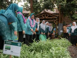 Tinawati Andra Soni Ajak Kader PKK Perkuat Pemberdayaan dan Gotong Royong