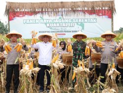Banten Panen Raya Jagung, Wagub Dimyati : “Momentum Peningkatan Kesejahteraan Petani”