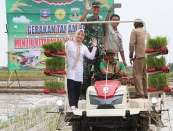 Bupati Serang Adakan Percepatan Tanam Padi dengan Transplanter di Kramatwatu