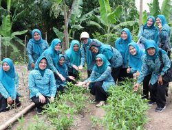 Tinawati Andra Soni Beri Pembinaan Kader PKK di Kabupaten Lebak