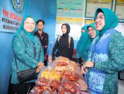 Desa Cikedung Naik Kelas, Tinawati Andra Soni Apresiasi Kemandirian dan Gotong Royong Warga