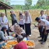 Kapolsek Walantaka Hadiri Panen Raya Jagung Kuartal 111 Tahun 2025