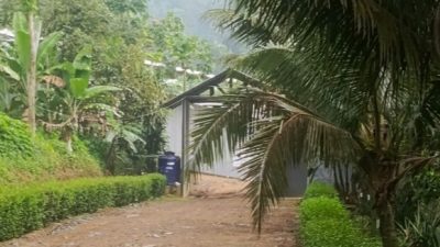 Perusahaan Kandang Ayam di Desa Ujung Tebu Diduga Kuat Tak Kantongi Izin Beroperasi