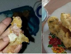 Heboh Tahu Goreng MBG Berisi Plester Luka, SPPG Minta Ma’af