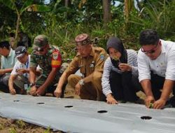 Koramil 0602-07/Waringin Kurung dan BUMDes Binangun Bersinergi