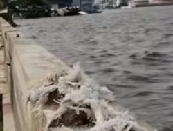 Breaking News : Air Laut di Pesisir Jakarta Lebih Tinggi dari Daratan 