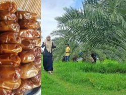 Kurma Lombok Utara Dinobatkan Terbaik Nomor 7 Dunia
