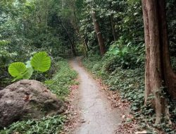 Potret Kampung Nangka Bubur yang Tertinggal, Mirip Anak Tiri