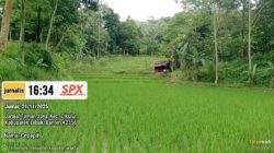 Poktan Desa Anggalan Keluhkan Tak Dapat Program dari Distan Lebak