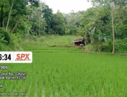 Poktan Desa Anggalan Keluhkan Tak Dapat Program dari Distan Lebak