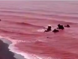 Pantai di Iran Berubah Menjadi Merah seperti Lautan Darah