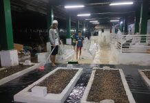 Hujan Deras Sebabkan Banjir di Kawasan Masjid Agung Banten Lama