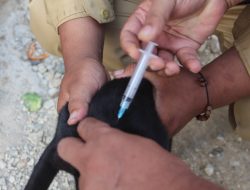 14 Tahun Tanpa Kasus, Pemprov Banten Pertahankan Status Bebas Rabies dan Pecahkan Rekor Nasional