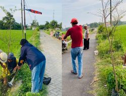 Hari Gerakan Satu Juta Pohon dan HLHN, Gerakan ‘Banten Teduh, Tangerang Sejuk’ Tanam 5.000 Pohon