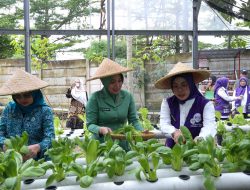 Tinjau Posyandu Mawar, Tinawati Andra Soni Apresiasi Peran Kader Layani Masyarakat
