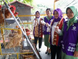 Tinawati Andra Soni : “Posyandu Ujung Tombak Pelayanan Dasar Masyarakat”