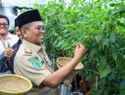 Pesantren di Lebak Budidaya Cabai, Gubernur Andra Soni Minta Replikasi