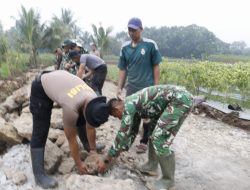 Merajut Kebersamaan di Cadas Ngampar: TMMD Wujudkan Jalan Harapan