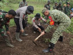 TMMD Ke-127 Kodim 0602/Serang Tanam 250 Pohon Keras di Desa Sukamenak