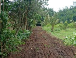 TMMD Ke-127 Buka Akses Jalan di Desa Sukamenak, Warga Antusias