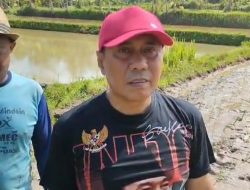 Pemerintah Diminta Hentikan Alih Fungsi Lahan. Anggota DPRD Banten Tinjau Areal Pertanian di Pandeglang