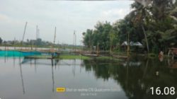 Budi daya Ikan di Kali Mati, Warga Cikeusal Manfaatkan Waring Apung