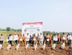 Andra Soni Canangkan Gerakan Tanam Jagung untuk Ketahanan Pangan di Banten