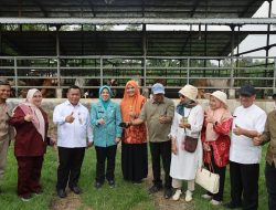 Kunjungi Sitandu, Tinawati Andra Soni Tekankan Penguatan Ketahanan Keluarga Lewat Pertanian