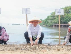 Wagub Dimyati : “Penanaman Mangrove Jadi Kunci Lindungi Pesisir”