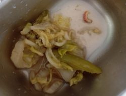 Menu MBG Tak Layak Konsumsi, Layanan SPPG Pamarayan 04 Dikeluhkan Masyarakat