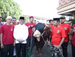Hewan Kurban Presiden Prabowo dan Gubernur Andra Soni Disambut Antusias Warga Kreo Tangerang
