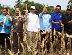 Wagub Dimyati Apresiasi Keterlibatan Pemuda dalam Program Ketahanan Pangan