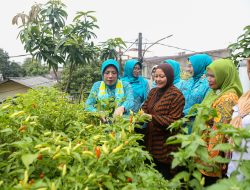 Tinawati Andra Soni: Evaluasi Program PKK untuk Perbaikan dan Pengembangan Program