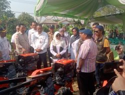 Dukung Ketahanan Pangan, 50.000 Hektar Lahan di Pandeglang Ditanam Serentak
