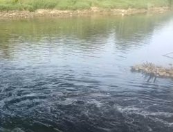 Andra Soni: DLHK Banten Temukan Penyebab Air Sungai Cisadane Menjadi Hitam