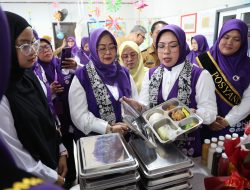 Tinawati Andra Soni Ajak Kader Posyandu Sukseskan Program Pemerintah