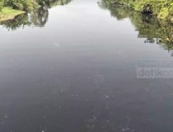 DLHK Banten Sebut PT. Cipta Paperia.Kragilan, Biang Kerok Air Sungai Ciujung Tercemar