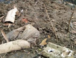 Petani Parakan Jawilan Resah, Air Kali Ciberem Hitam Pekat Diduga Tercemar Limbah Pabrik