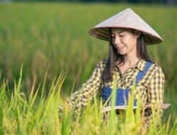 Cari Kerja Susah, Banyak Gen Z Beralih ke Profesi Jadul