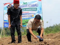 Panen Singkong Kualitas Super, Gubernur Andra Soni Jamin Kepastian Pasar dan Infrastruktur Desa
